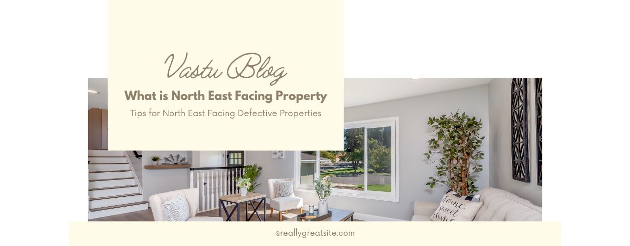 what-is-north-east-facing-property-and-tips-for-north-east-facing