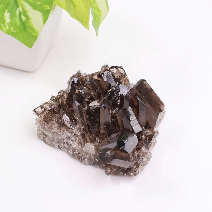 Smoky Quartz Cluster: Healing Benefits, Properties, and Uses