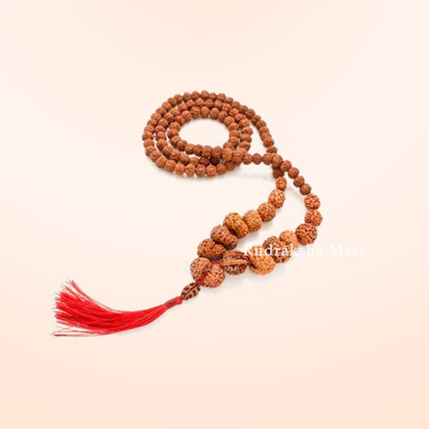 Siddha Mala Rudraksha