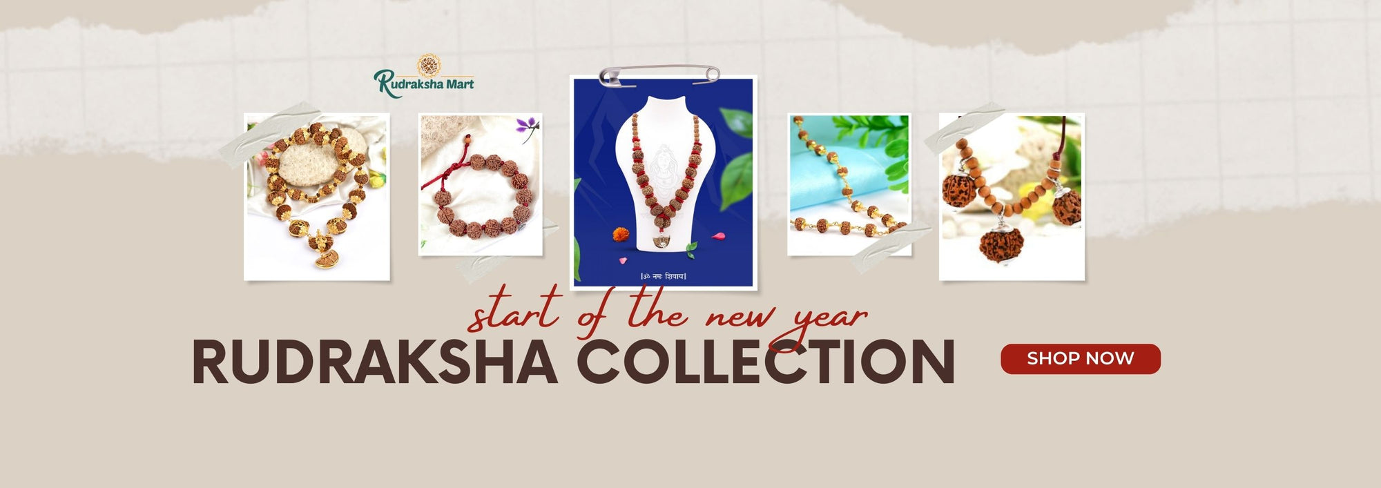 Rudraksha Collection - Rudraksha Supplier in Mumbai (India)