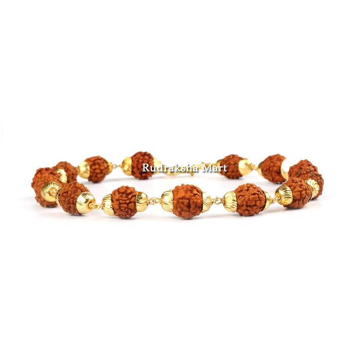 5 Mukhi Rudraksha Bracelet With Designer Gold Plated Caps (3 Lines) (1 Pc)  - numeroastro - 3855353