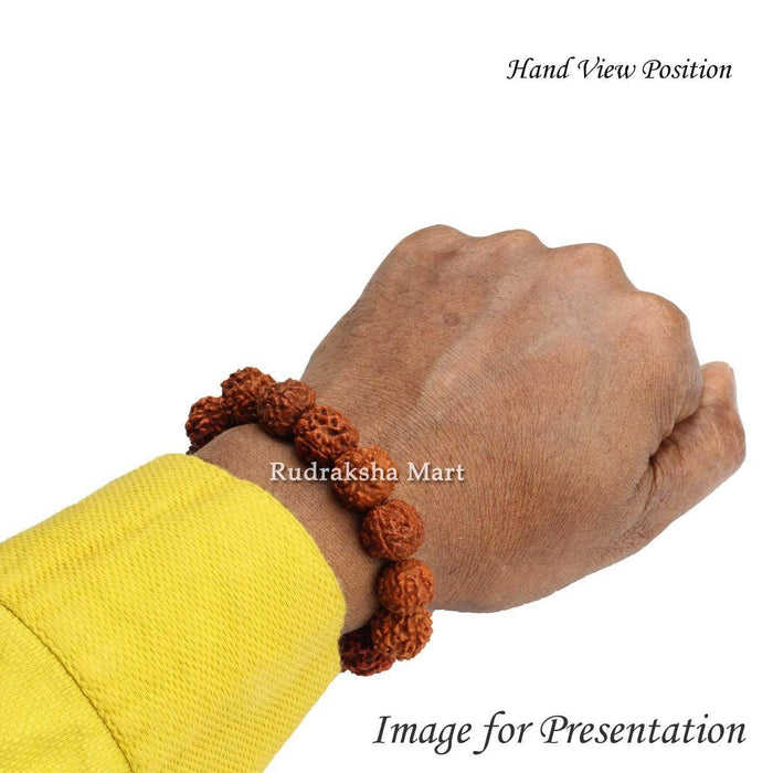 Original Blessed 7 Mukhi Indonesian Rudraksha Bracelet (7 मुखी रुद्राक्ष  ब्रेसलिट) | Rudrapuja