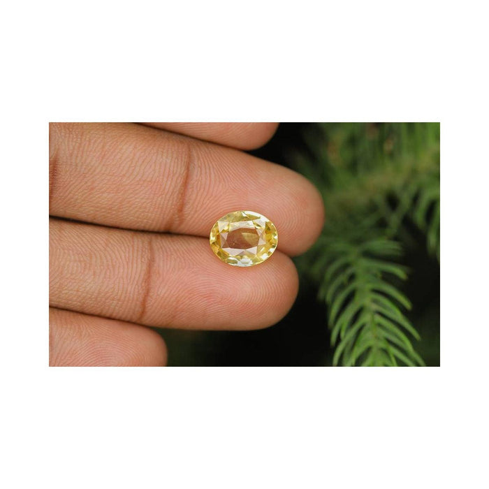 Natural Ceylon Yellow Sapphire - 3 in India, US, UK, Australia, Europe